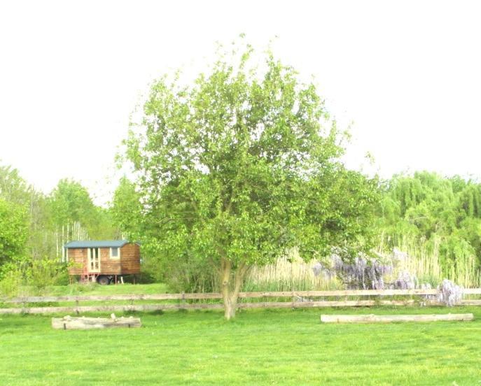 Casetta Sul Lago Albairate Extérieur photo